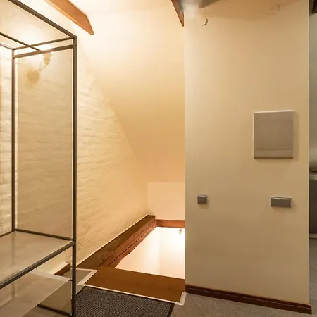 公寓 Old Town Spacious Loft Nearby The Livu Square 里加