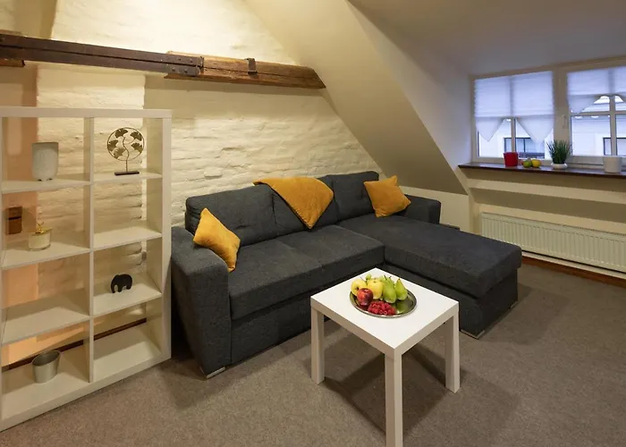 Old Town Spacious Loft Nearby The Livu Square * Riga