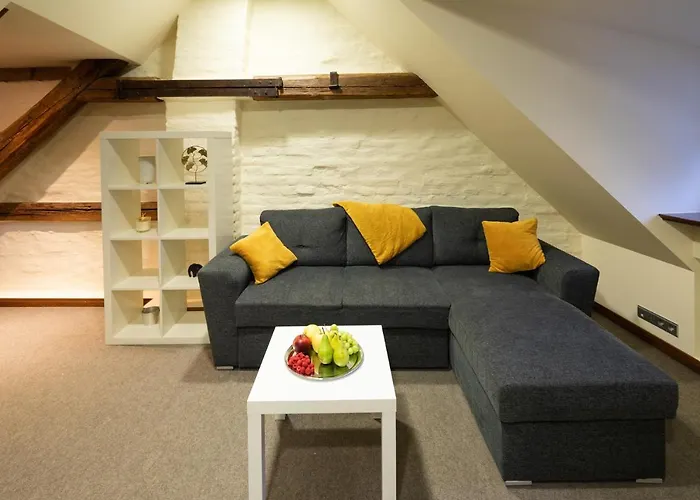 Old Town Spacious Loft Nearby The Livu Square Dzīvoklis