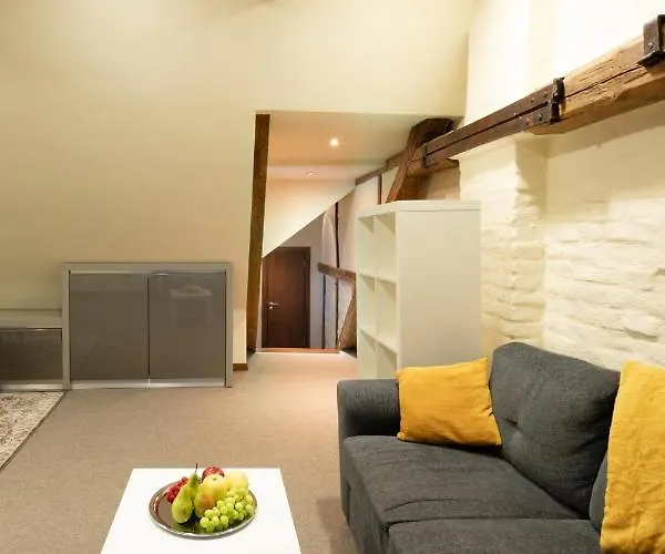 Old Town Spacious Loft Nearby The Livu Square Riga