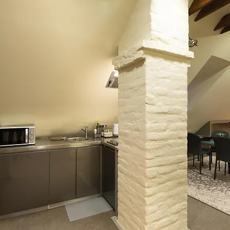 Old Town Charm One Bedroom Spacious Loft Nearby The Livu Square Riga