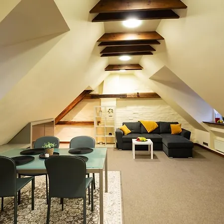 Old Town Spacious Loft Nearby The Livu Square