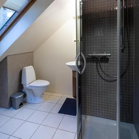 Lägenhet Old Town Charm One Bedroom Spacious Loft Nearby The Livu Square *