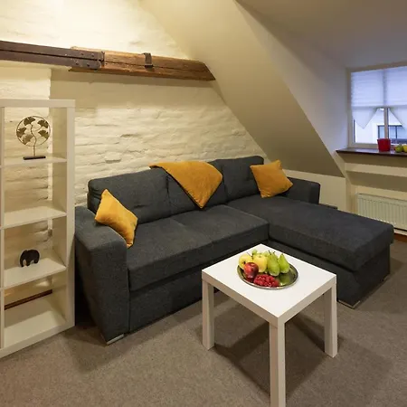 Old Town Charm One Bedroom Spacious Loft Nearby The Livu Square * Riga