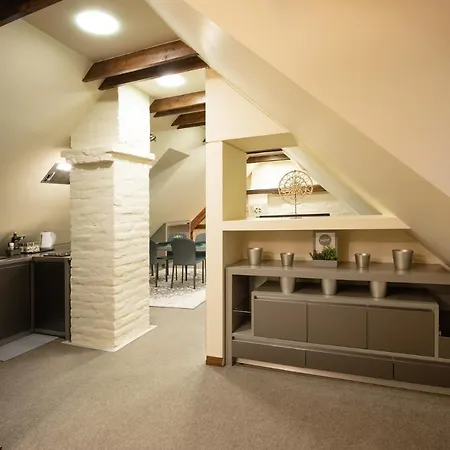 Old Town Charm One Bedroom Spacious Loft Nearby The Livu Square Apartmán *