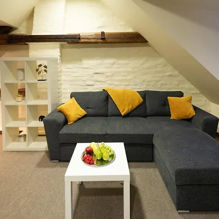 Old Town Charm One Bedroom Spacious Loft Nearby The Livu Square Apartment