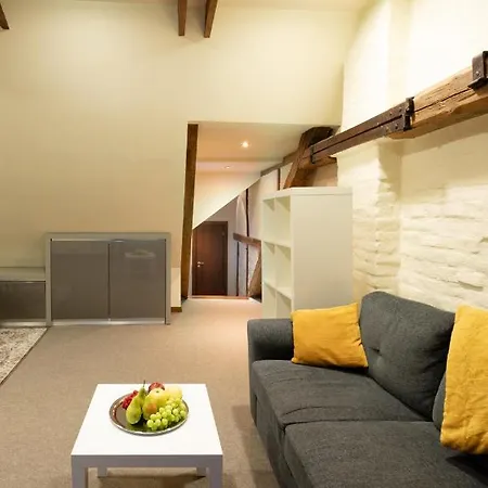 Old Town Charm One Bedroom Spacious Loft Nearby The Livu Square 里加