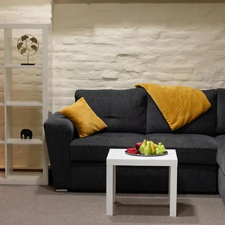 Old Town Spacious Loft Nearby The Livu Square *