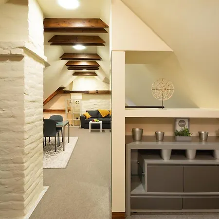 公寓 Old Town Charm One Bedroom Spacious Loft Nearby The Livu Square *