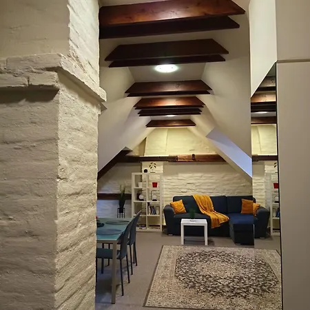 Old Town Charm One Bedroom Spacious Loft Nearby The Livu Square Lägenhet *