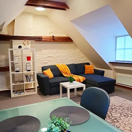 Old Town Charm One Bedroom Spacious Loft Nearby The Livu Square Apartment Riga