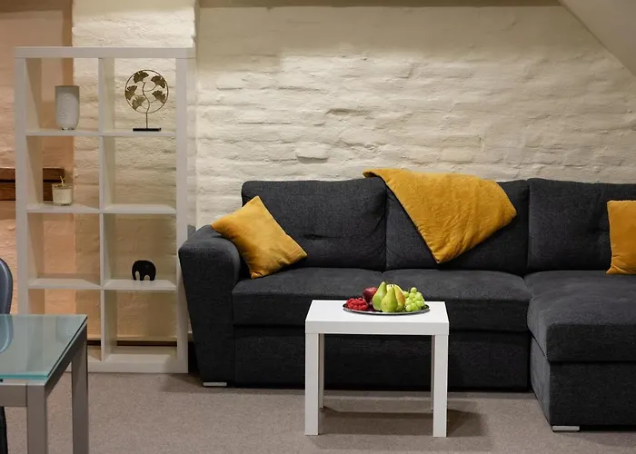 Old Town Spacious Loft Nearby The Livu Square *