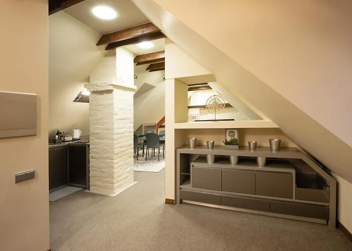 Old Town Spacious Loft Nearby The Livu Square Apartment *