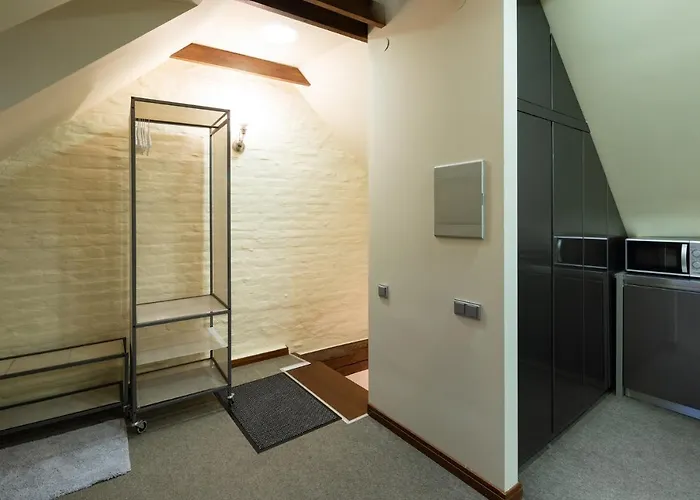 Apartment Old Town Spacious Loft Nearby The Livu Square *